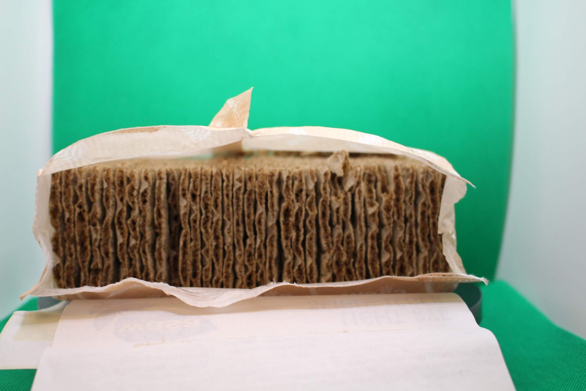 Weevils in Wasa crispbread bag