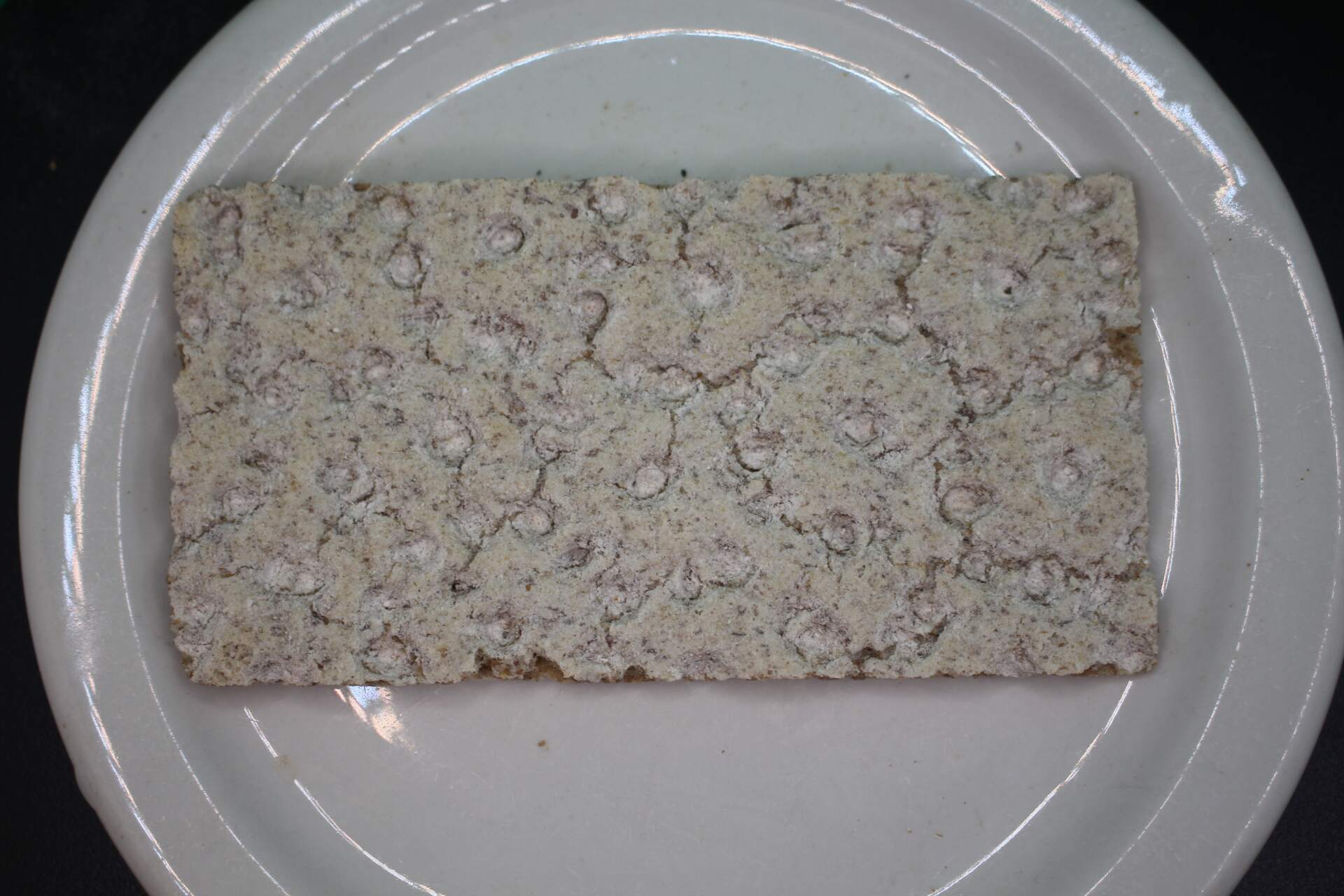 plain Wasa light rye cracker from bottom