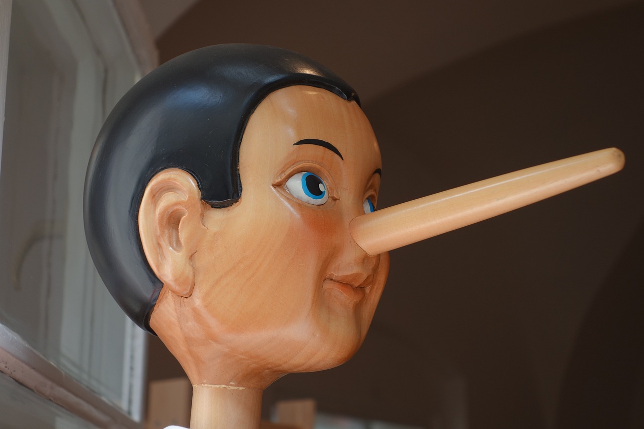 Pinocchio nose representing deceptive lie that my items appeared to be sold out when they were not