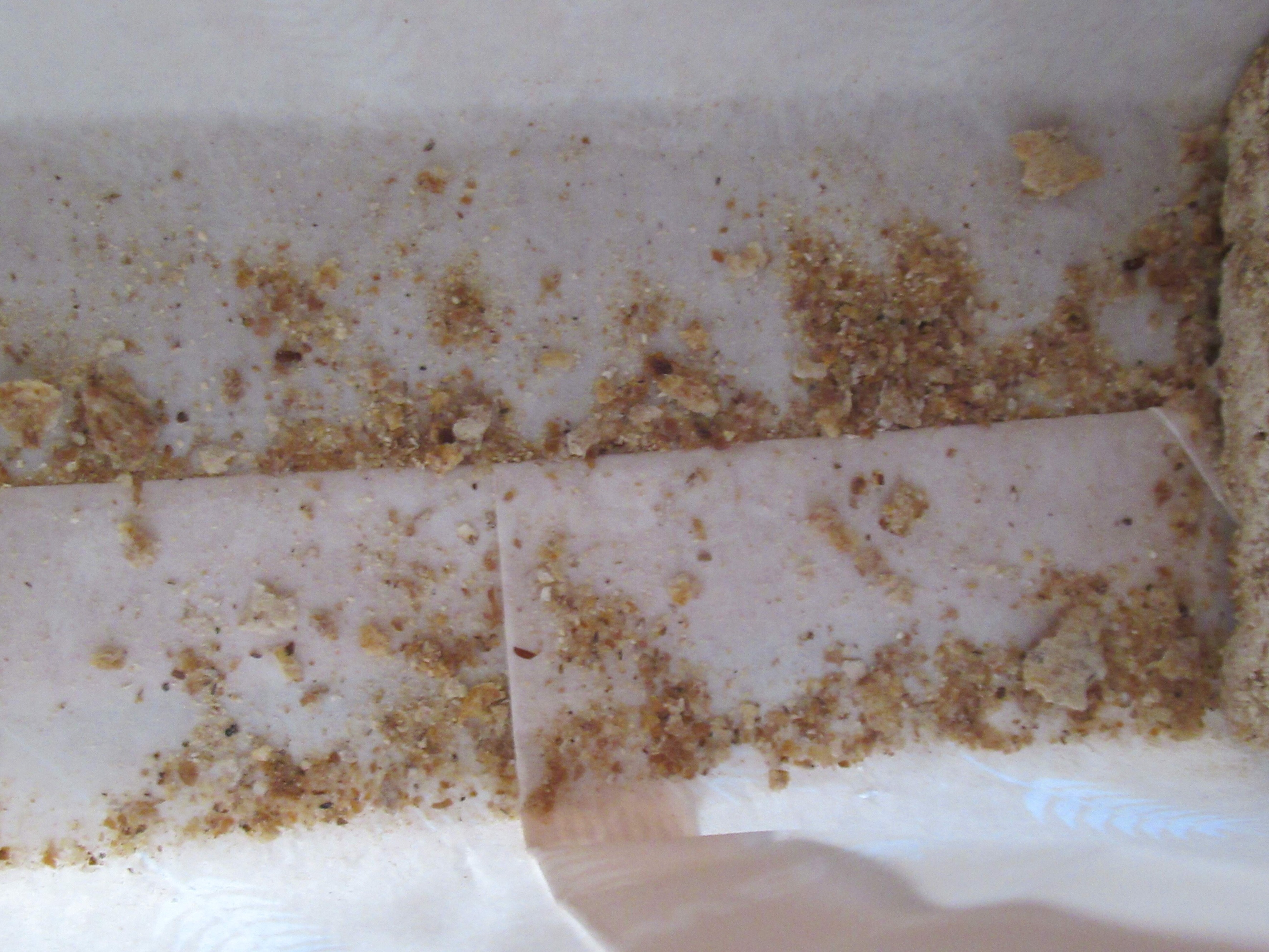 insects in Wasa crispbread bag