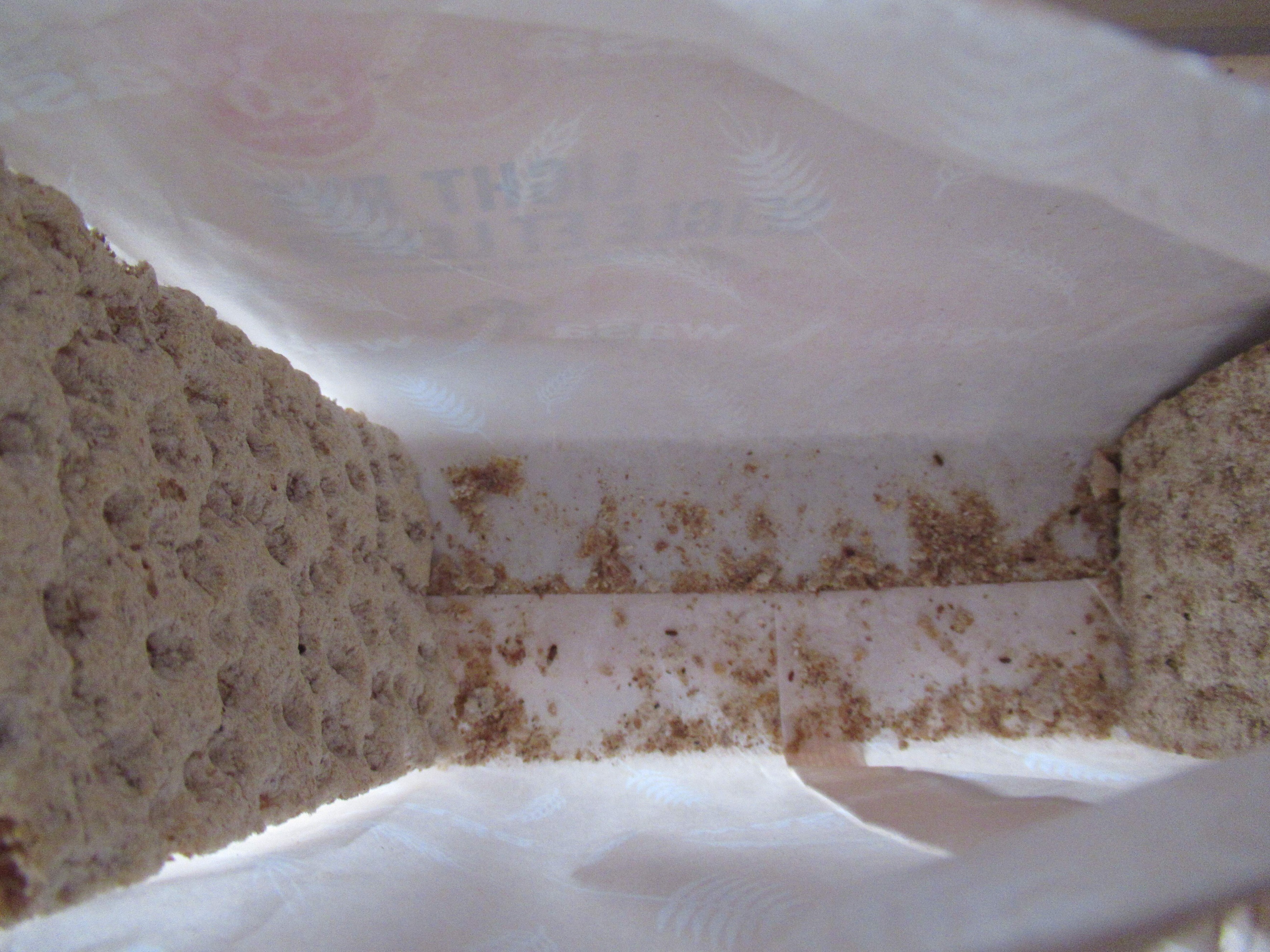 weevils in bottom of Wasa bag